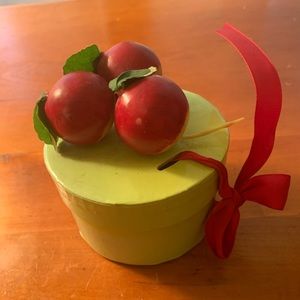 Radish topped garden gift box with seeds